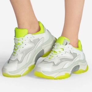 Ash Addict Sneakers
